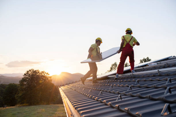 Best Roof Moss and Algae Removal  in Rowland, NC